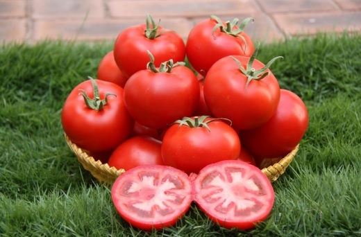 CUCUMBER-SCU0AC61-RH952789