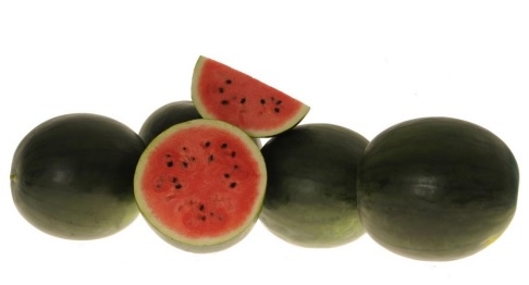 WATERMELON-SCU0AC41-RH668622